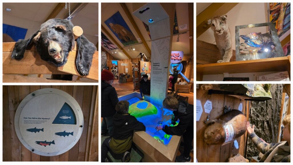 Goldstream-Park-遊客中心內部陳設