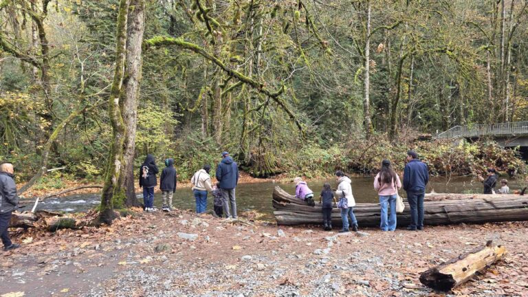 溫哥華島觀賞鮭魚洄游的入門景點──Goldstream Provincial Park介紹