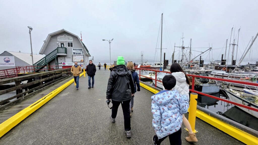 去Cowichan bay fisherman's wharf 觀賞海獅的地點