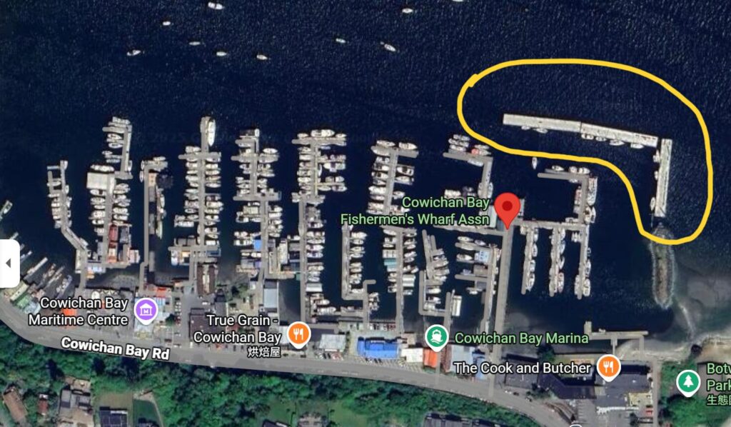 Cowichan Bay Fishermen's Wharf Assn 的海獅所在位址
